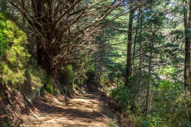 939 Kaiwhata Road Te Wharau_3