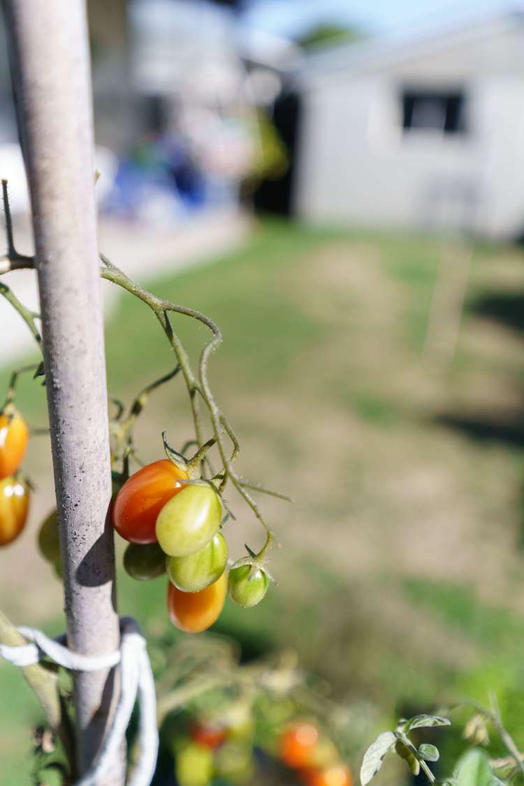 12 Patterson Terrace Halswell_17