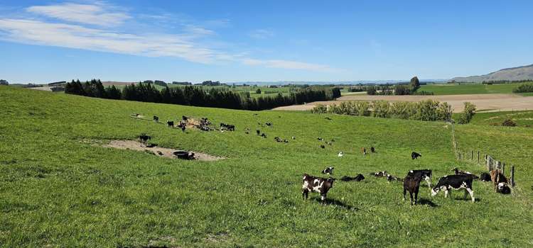 58 Blackhill Road Chatton_12