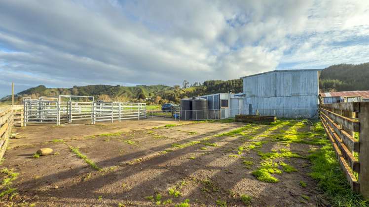 131 Puriri Valley Road Puriri_10