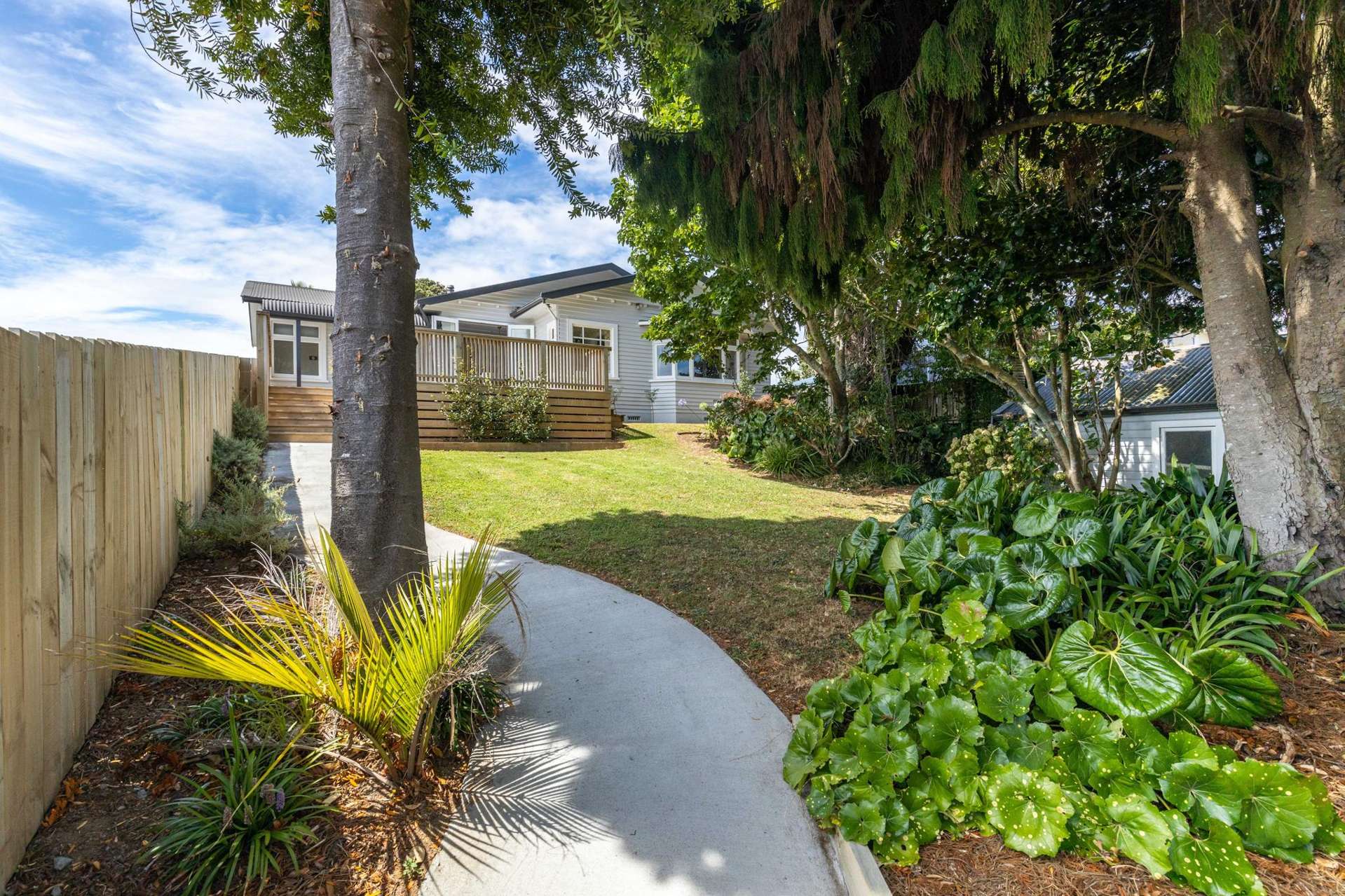 407 Carrington Street Vogeltown_0
