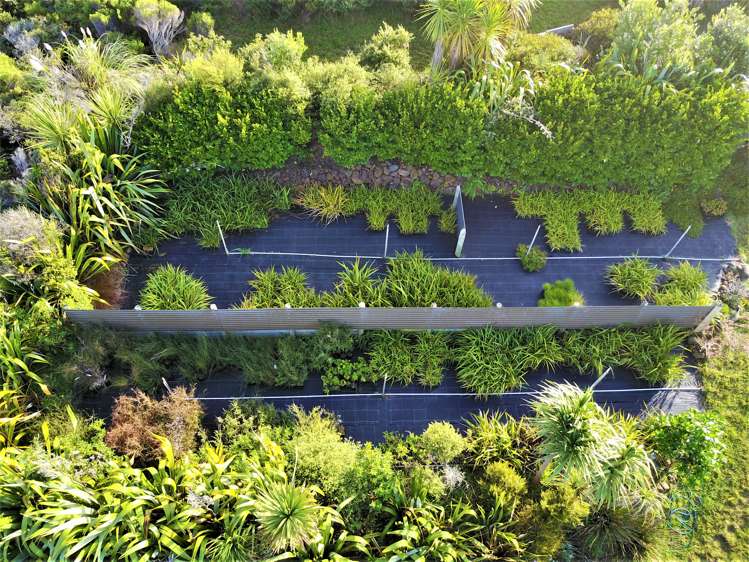 1246 Babylon Coast Road Dargaville Surrounds_22