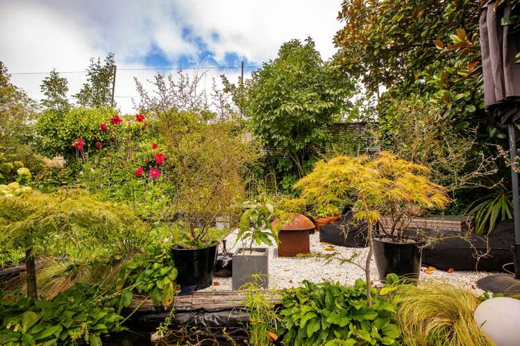 150 Douglas Street Highfield_39