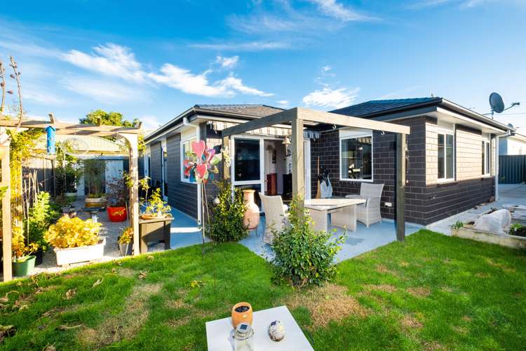 164a Guppy Road Taradale_16