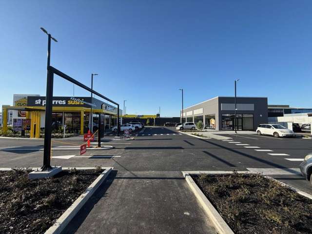 1149 Heretaunga Street West Saint Leonards_2