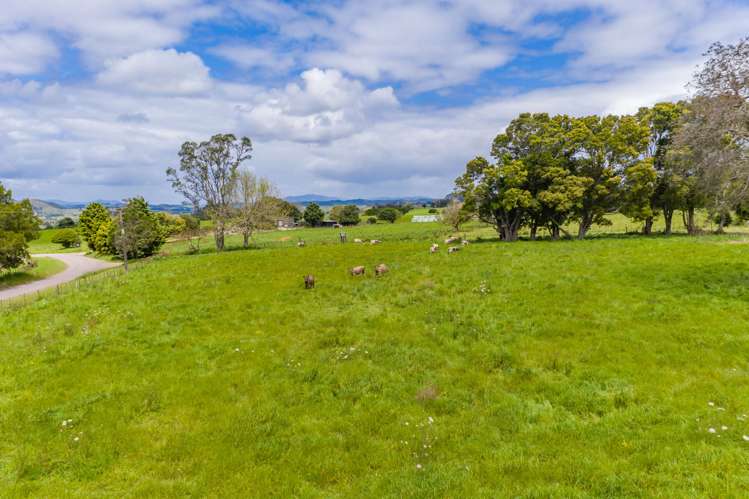 345 Waikaramu Road Kerikeri_24