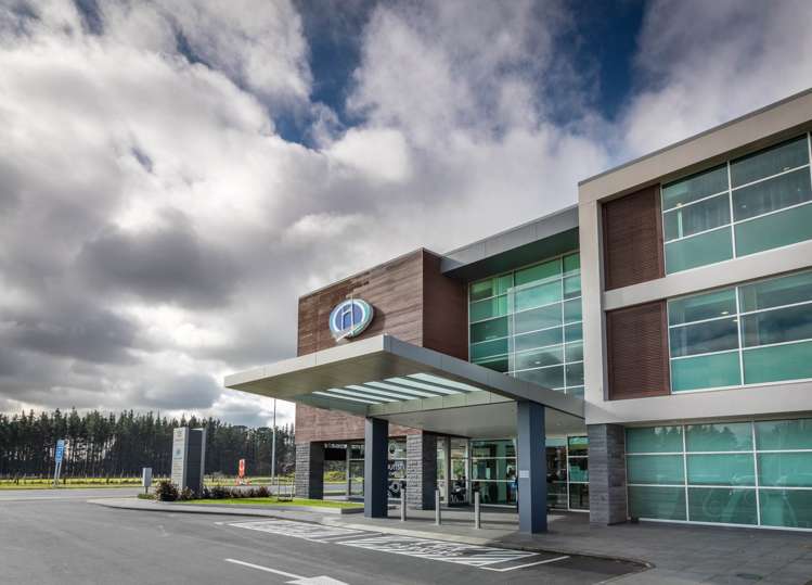 125 Ormiston Road Flat Bush_6