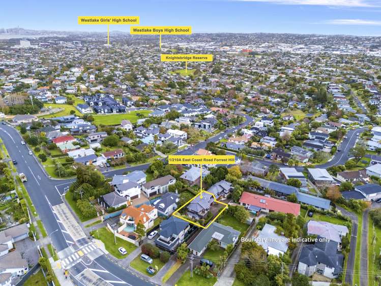 1/210a East Coast Road Forrest Hill_19