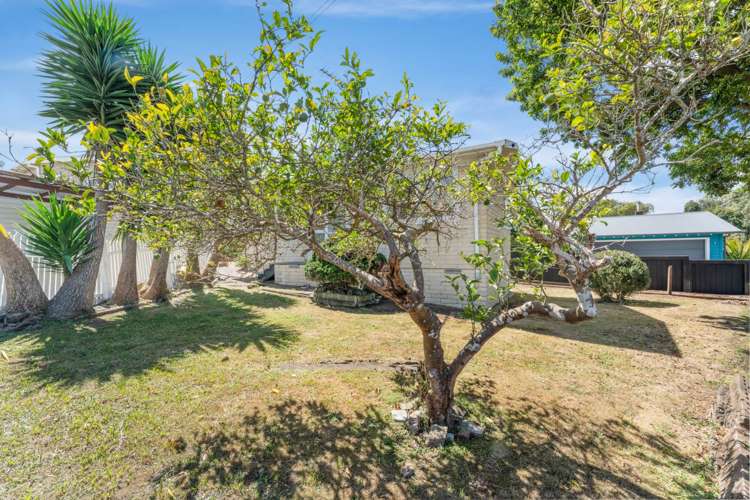 32 Hardington Street Onehunga_3