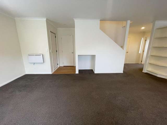 183b Massey Street Frankton_3