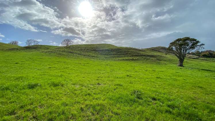 102 Arapuni Road Putaruru_0