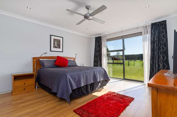 6 Camellia Lane Carterton_6