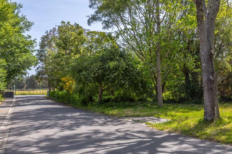 3 Woodlands Way Greytown_11