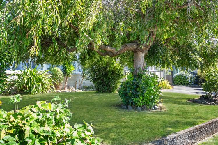 74 Alexander Avenue Onekawa_20