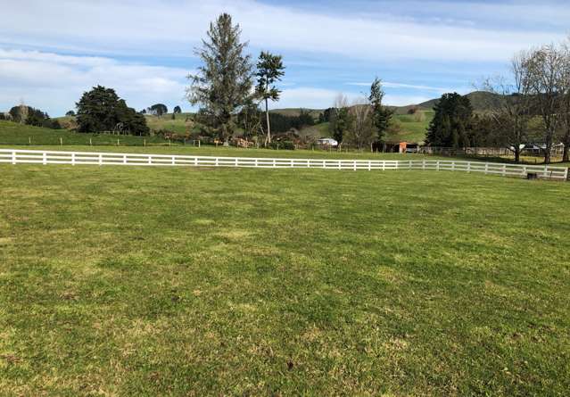 100 Baffin Street Pirongia_4