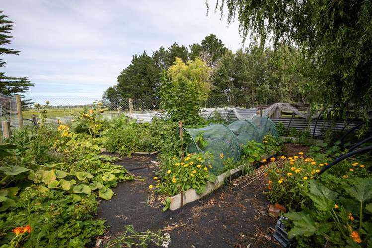 657 Domett Road Domett_27