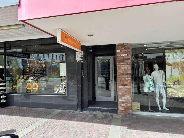 65 Emerson Street Napier South_4