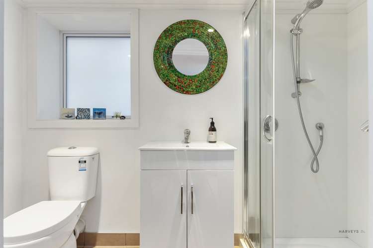 115 Captain Scott Road Glen Eden_13