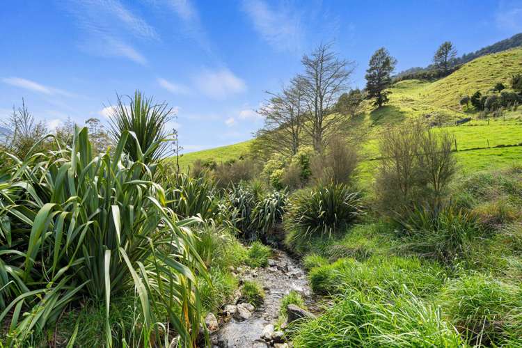 650 Ronga Road Rai Valley_25