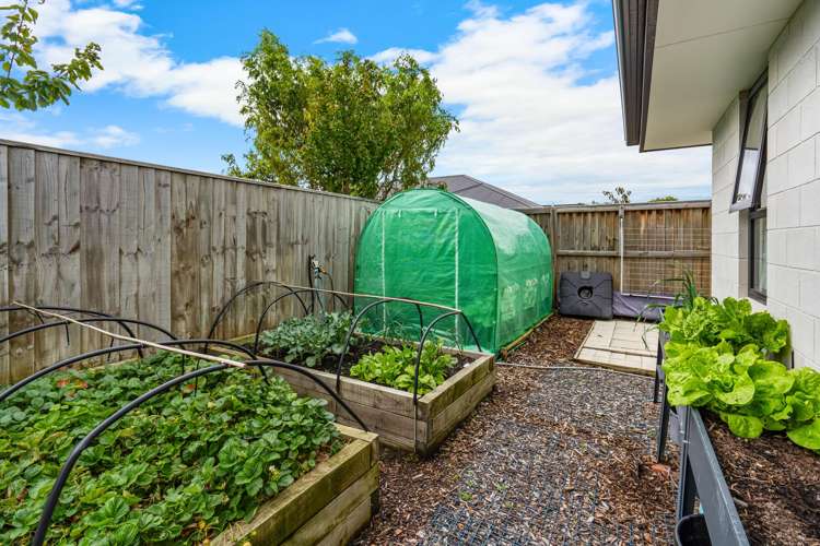 10 Banded Place Rolleston_18