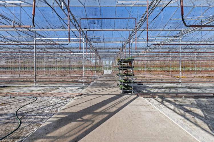 2404 Tram Road West Eyreton_19