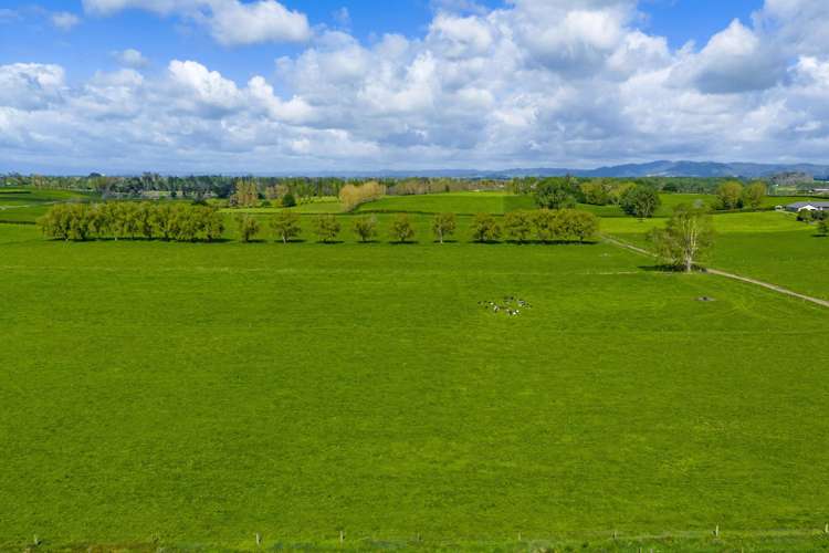 88 Davies Road Taupiri_21