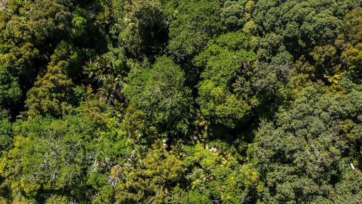 396 Tuateawa Road_5