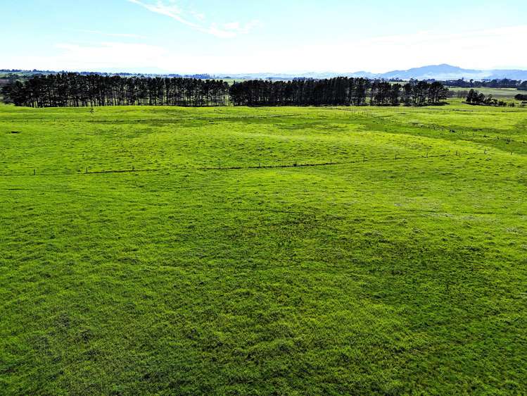 60 Scarrott Road Te Kopuru_24