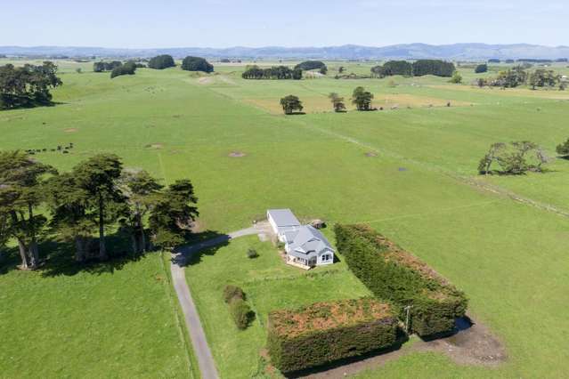 335a Couper Road Glen Oroua_2