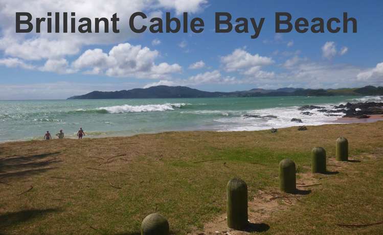 66 Stratford Drive Cable Bay_7