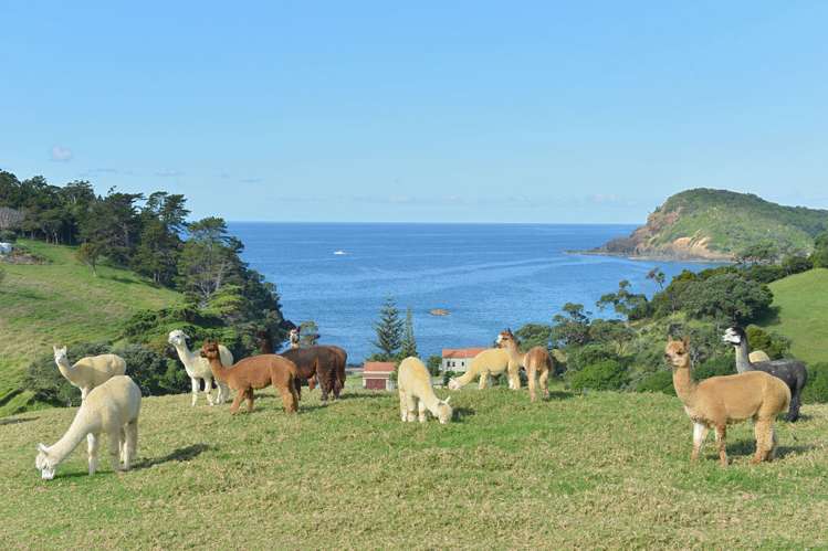 48 Waipouri Lane (Pvt) Tutukaka_0