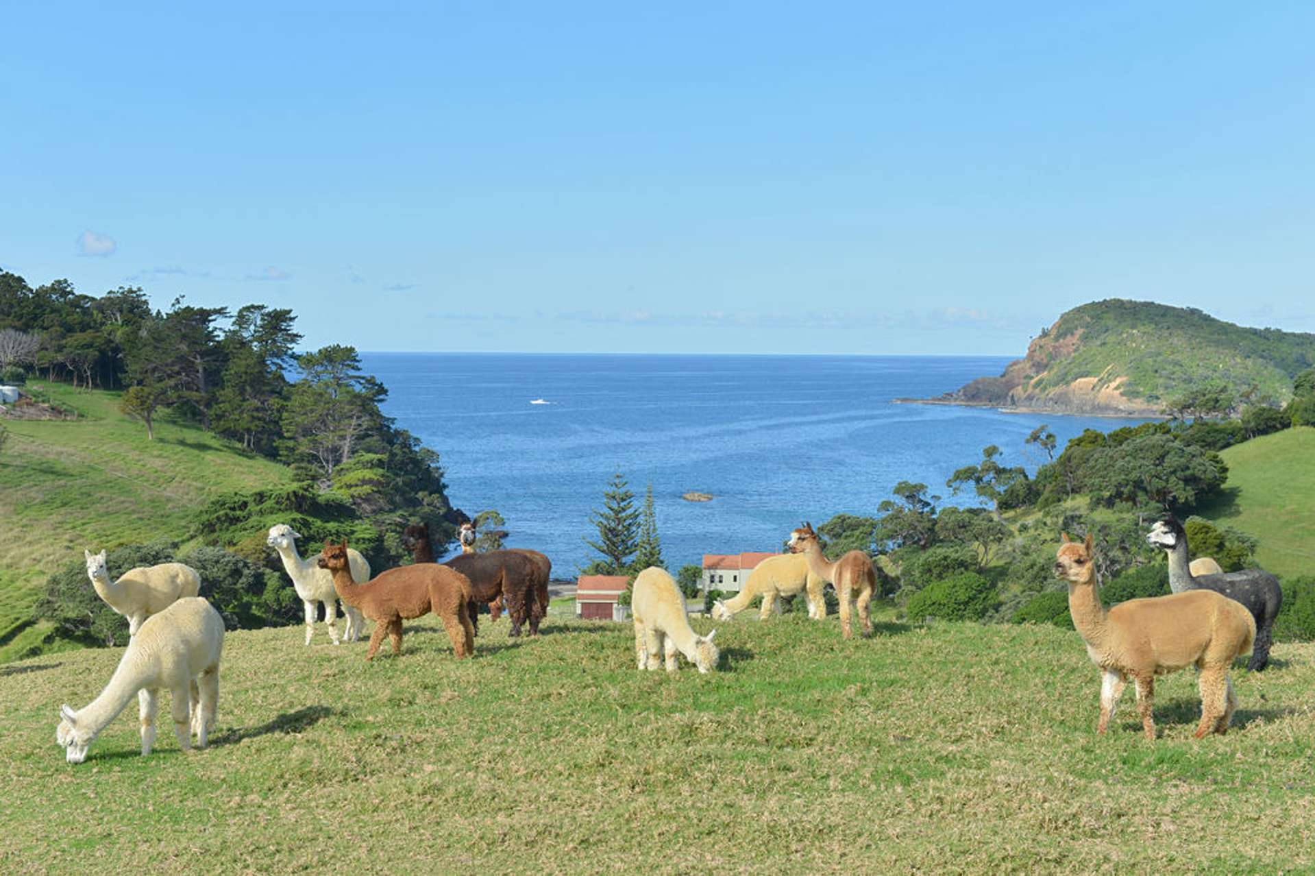 48 Waipouri Lane (Pvt) Tutukaka_0