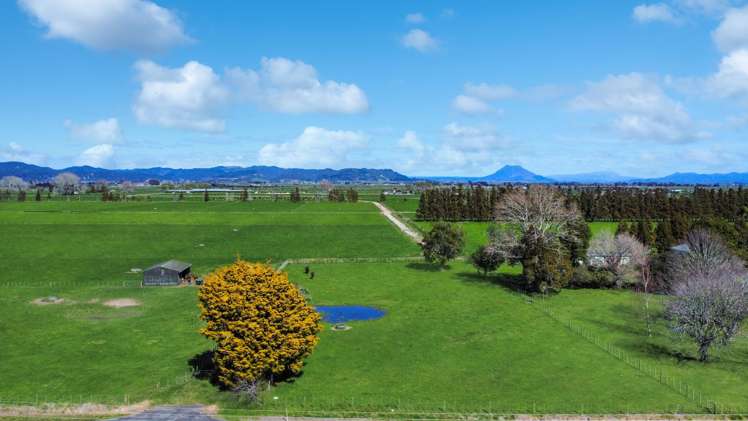 227 Thornton Road Thornton_4