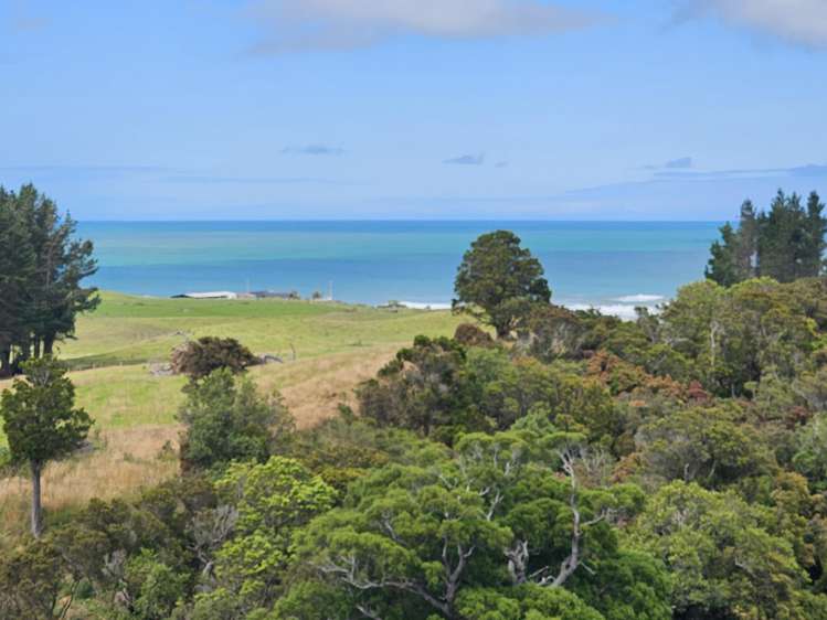 61 Tinico Road Kaka Point_3