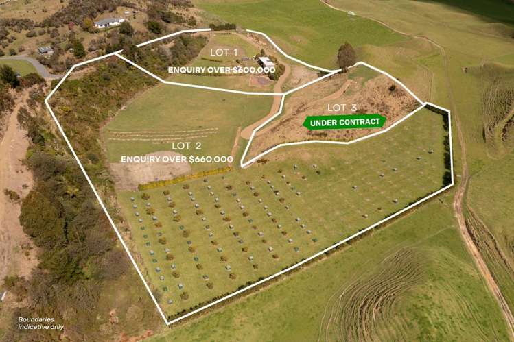 230b Withy Road Manawahe_12