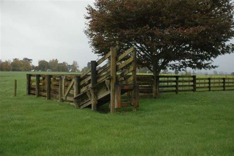 308 Seddon Road Waitoa_14