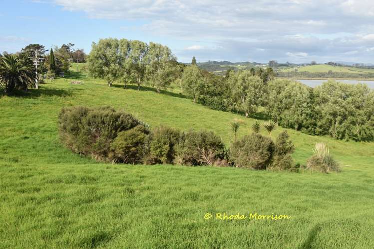 224a Petley Road Paparoa_38