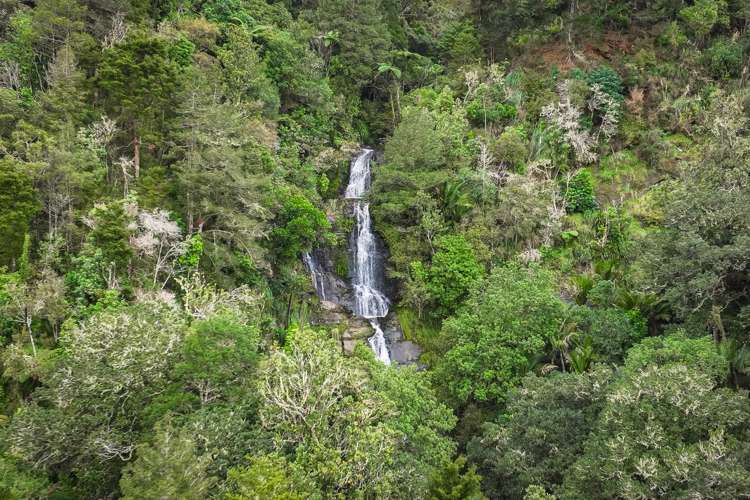 158 Anderson Road Matakana_19