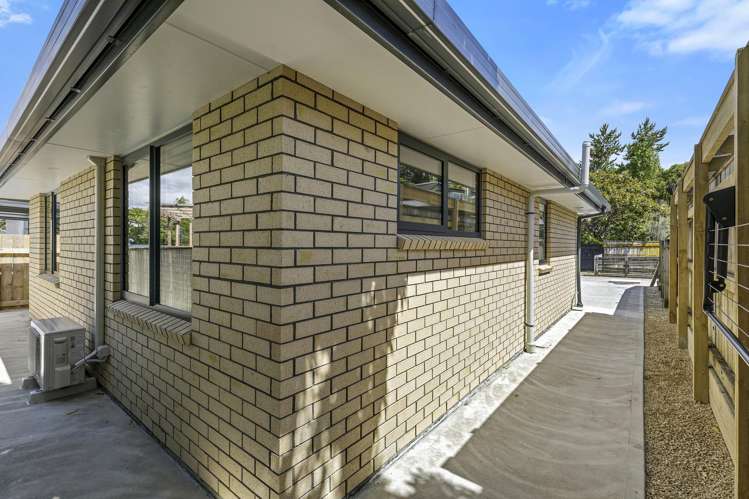 22B Akatarawa Road Brown Owl_17