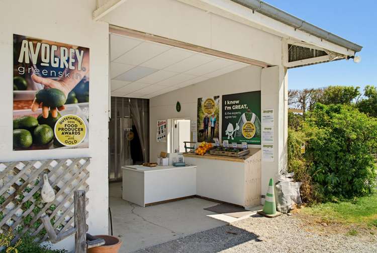 599 Bushmere Road Waerenga-A-Hika_31