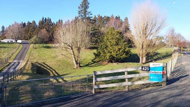 425 Waikeria Road Kihikihi_1