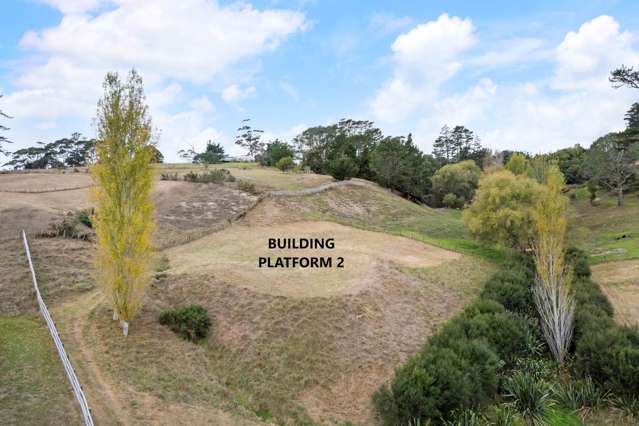 Contours with Personality, Tree Lovers Welcome