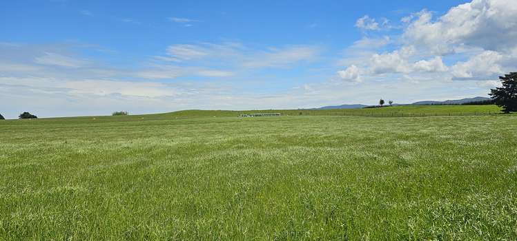 Parker Road Gore Surrounds_9