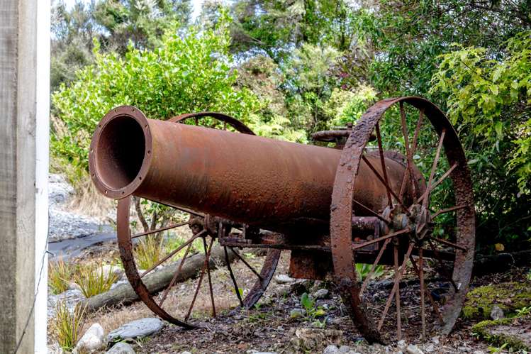 94 Dillmanstown Kumara_15