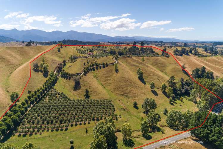 598 Neudorf Road Upper Moutere_19