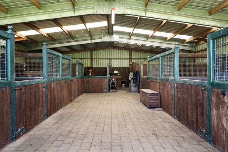 274 Hot Springs Road Tahawai_6