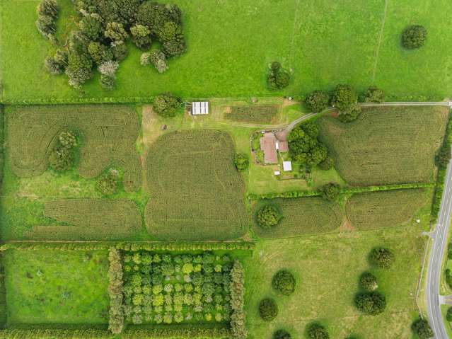 Lot 1/397 Three Mile Bush Road Te Kamo_3