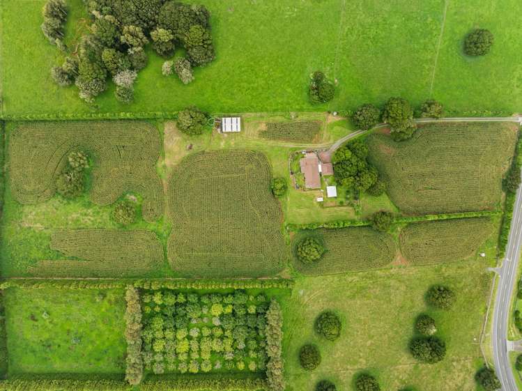 Lot 1/397 Three Mile Bush Road_3