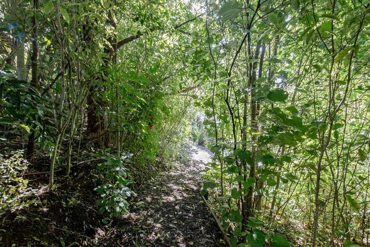 29 Anlaby Road Nikau Valley_15