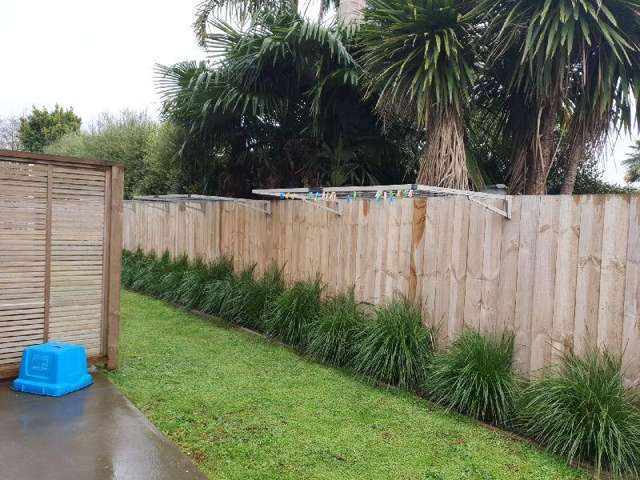 8/17 Lyon Street 1067_2